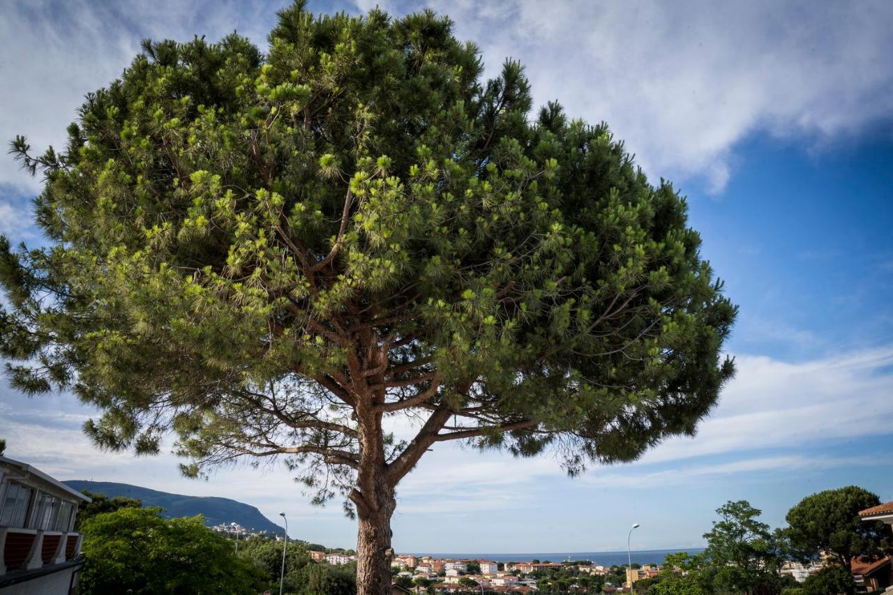 Balconi Del Conero Aparthotel Numana Luaran gambar